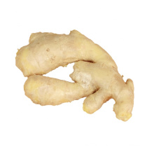 Hot sale Competitive price fresh fat ginger with super quality